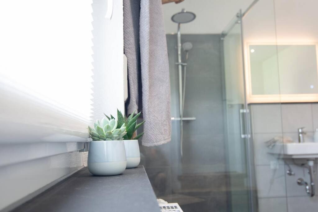 Ferienwohnung Traewa Sulzbach  Dış mekan fotoğraf
